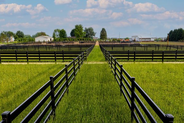 Clune Construction - 1920x1000 - 18